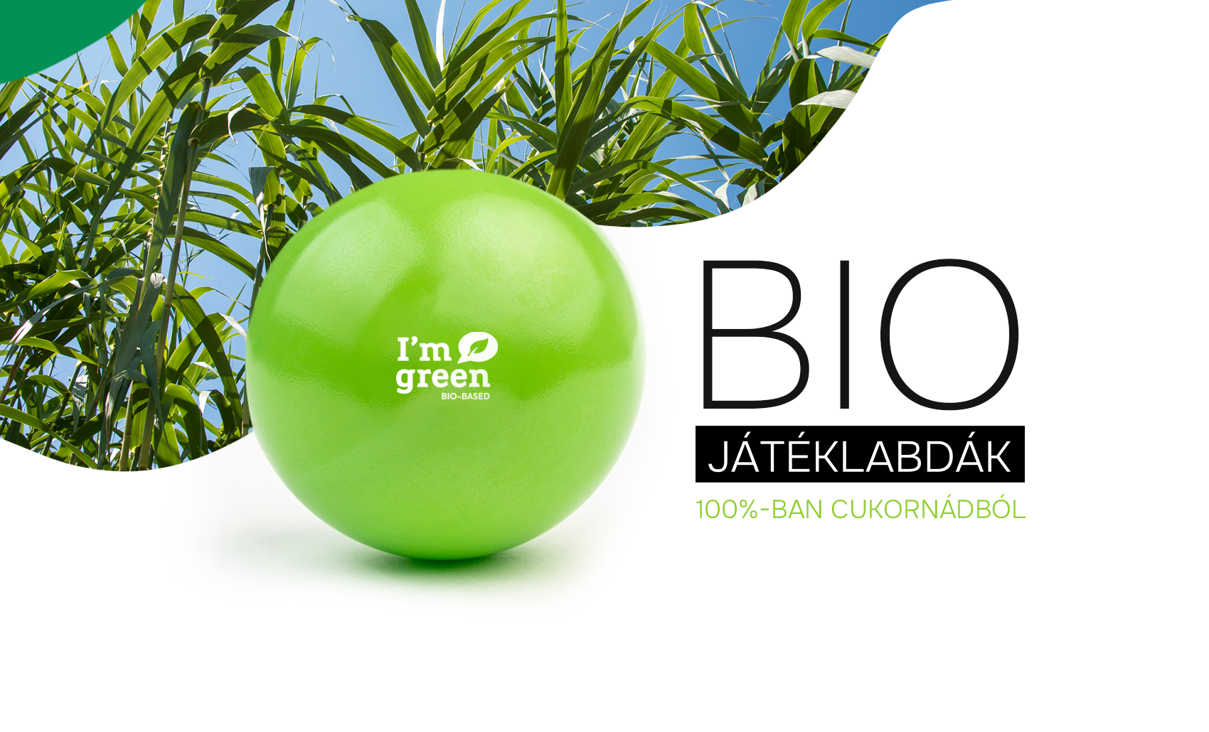Bio based plastic ball