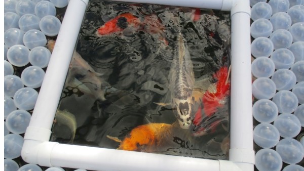 New Solution: Fish pond or Insulation Ball  for Winter Koi Pond Protection