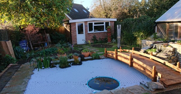 Пора подготовить рыбные пруды к холодному времени года.