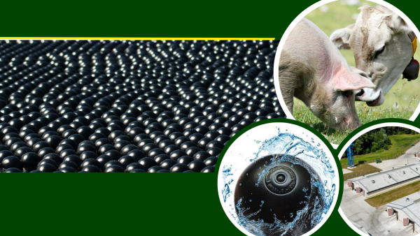 Gestion du lisier à l’aide de sphères flottantes à usage agricole